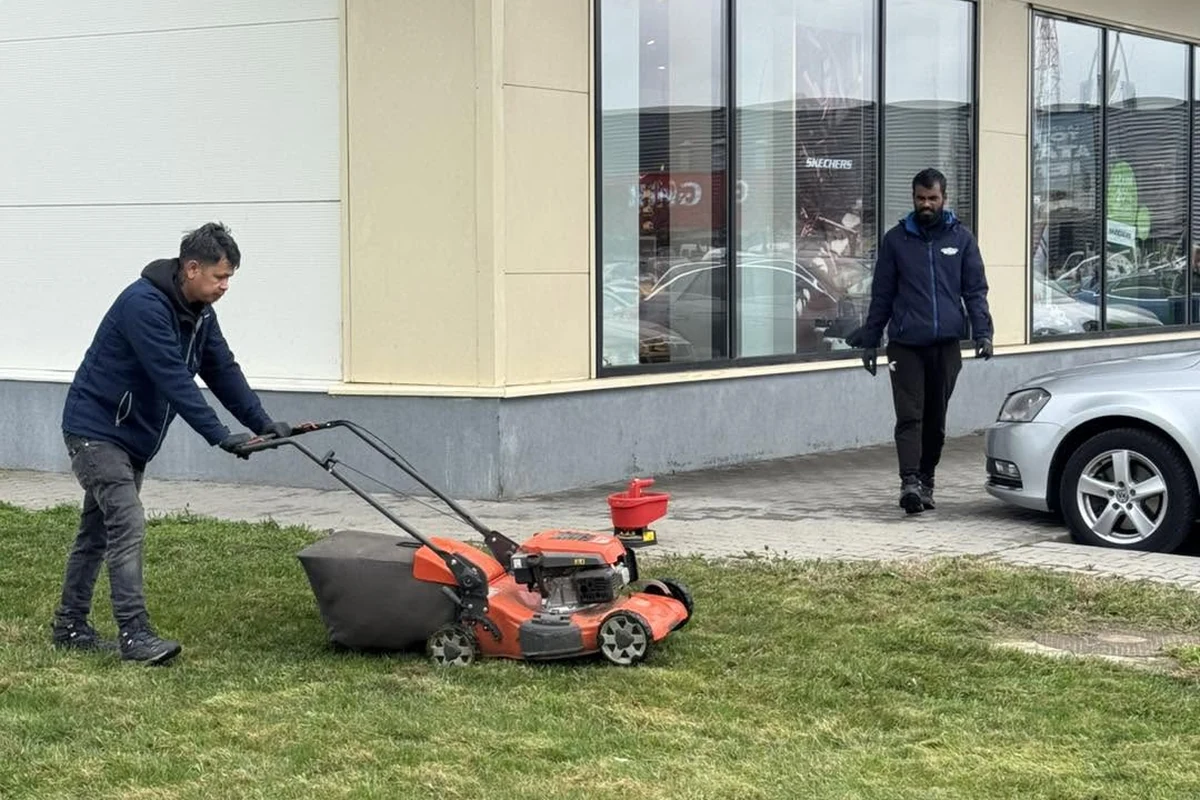 Întreținere spații verzi Best Clean